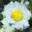 generated_image_13.png