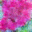generated_image_137.png