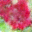 generated_image_139.png