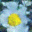 generated_image_14.png