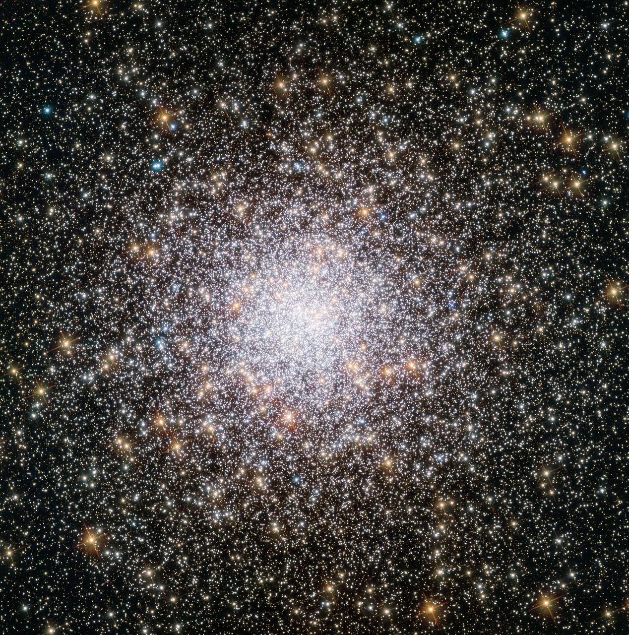 A youthful globular star cluster observed by the Hubble Space Telescope