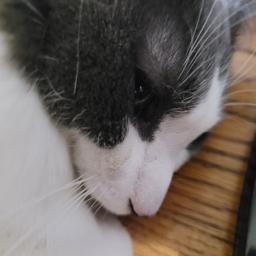 Gary105.jpg