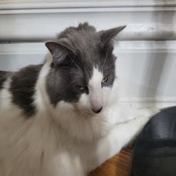 Gary116.jpg