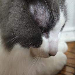 Gary117.jpg
