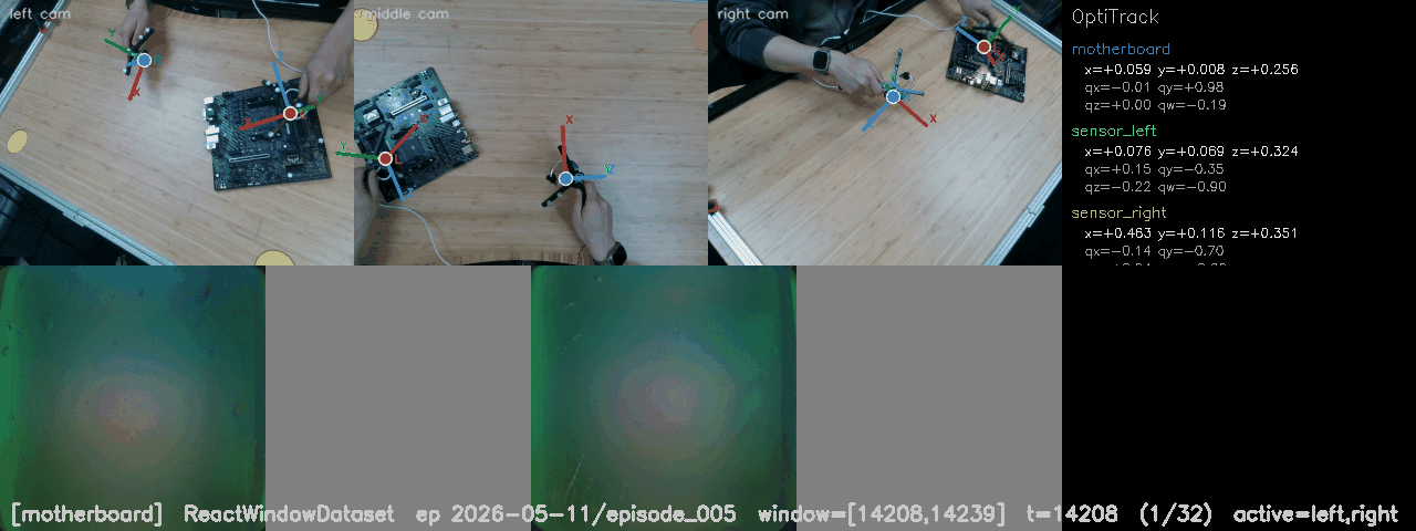 sample_window_10.gif
