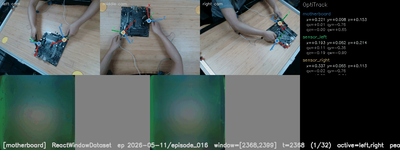sample_window_13.gif