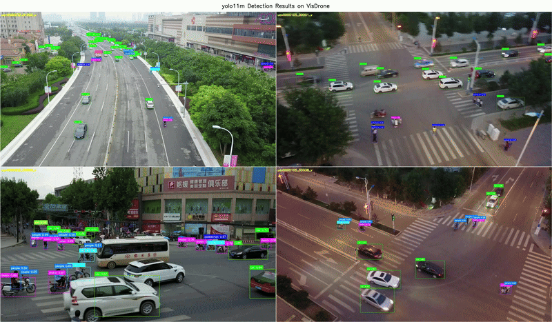VisDrone Detection Demo