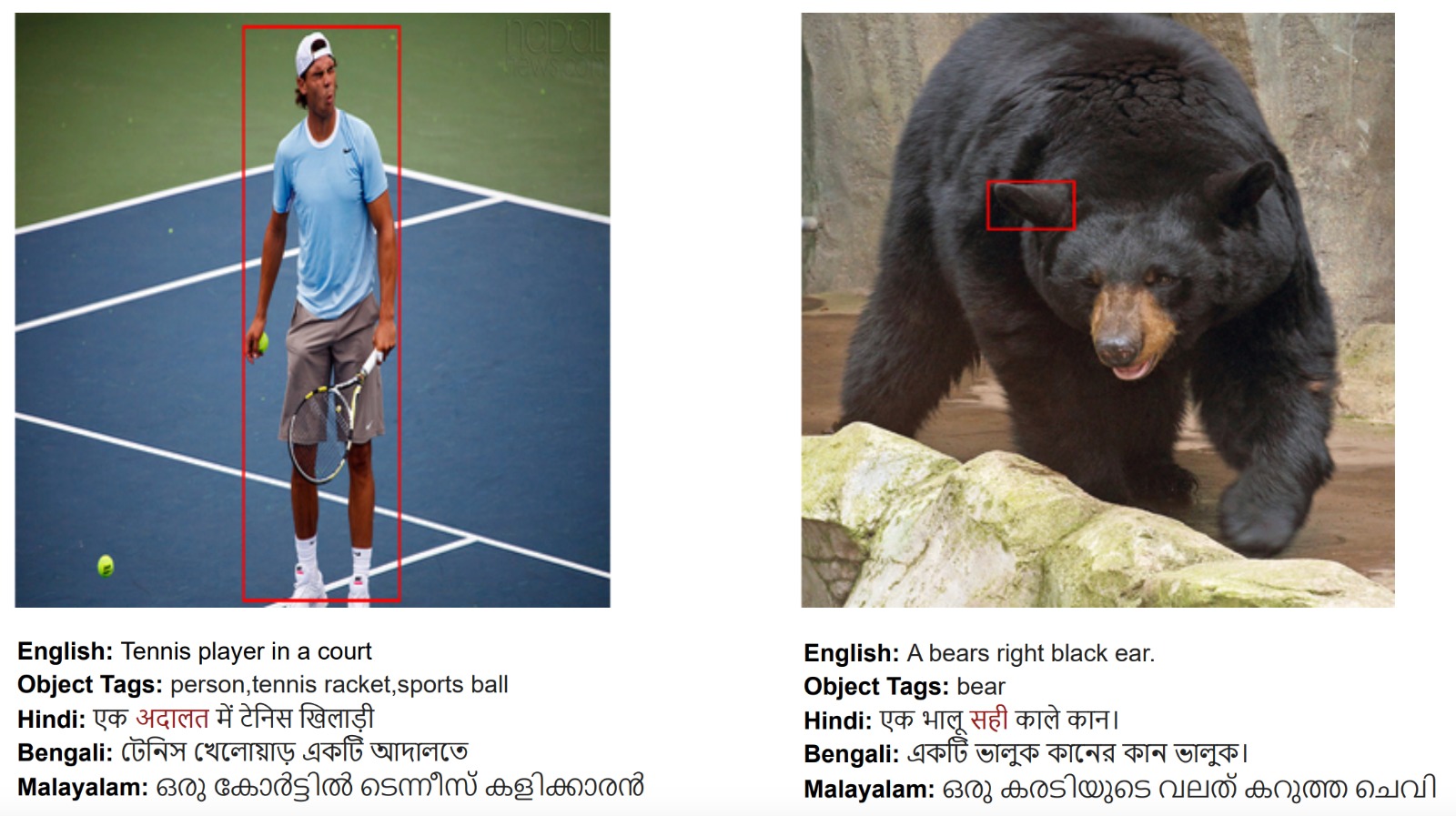 multimodal_translation