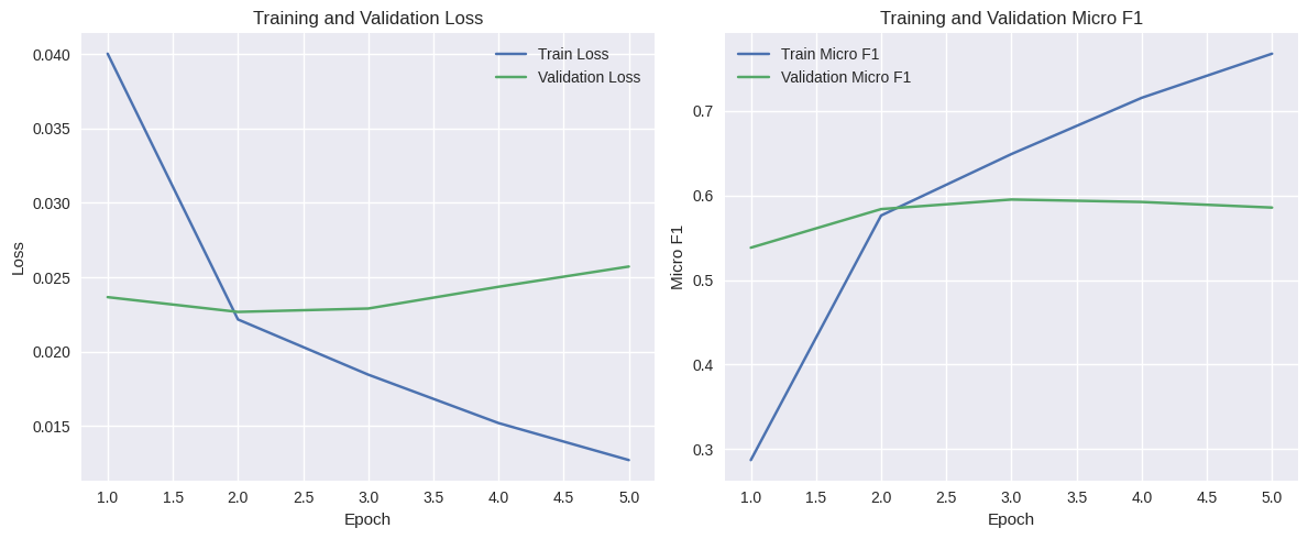training_curves_plot.png