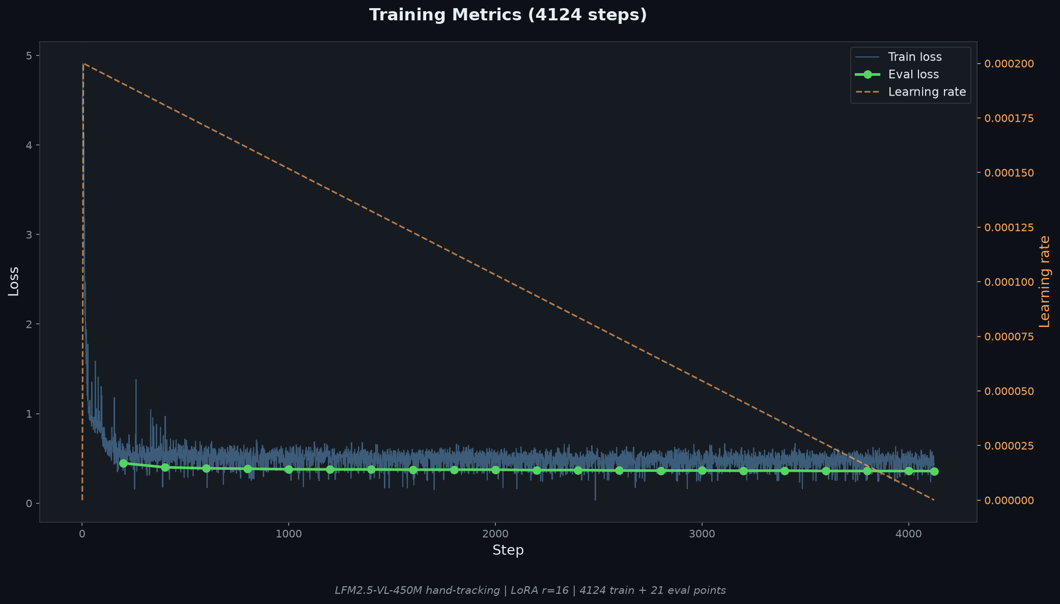 Training Metrics