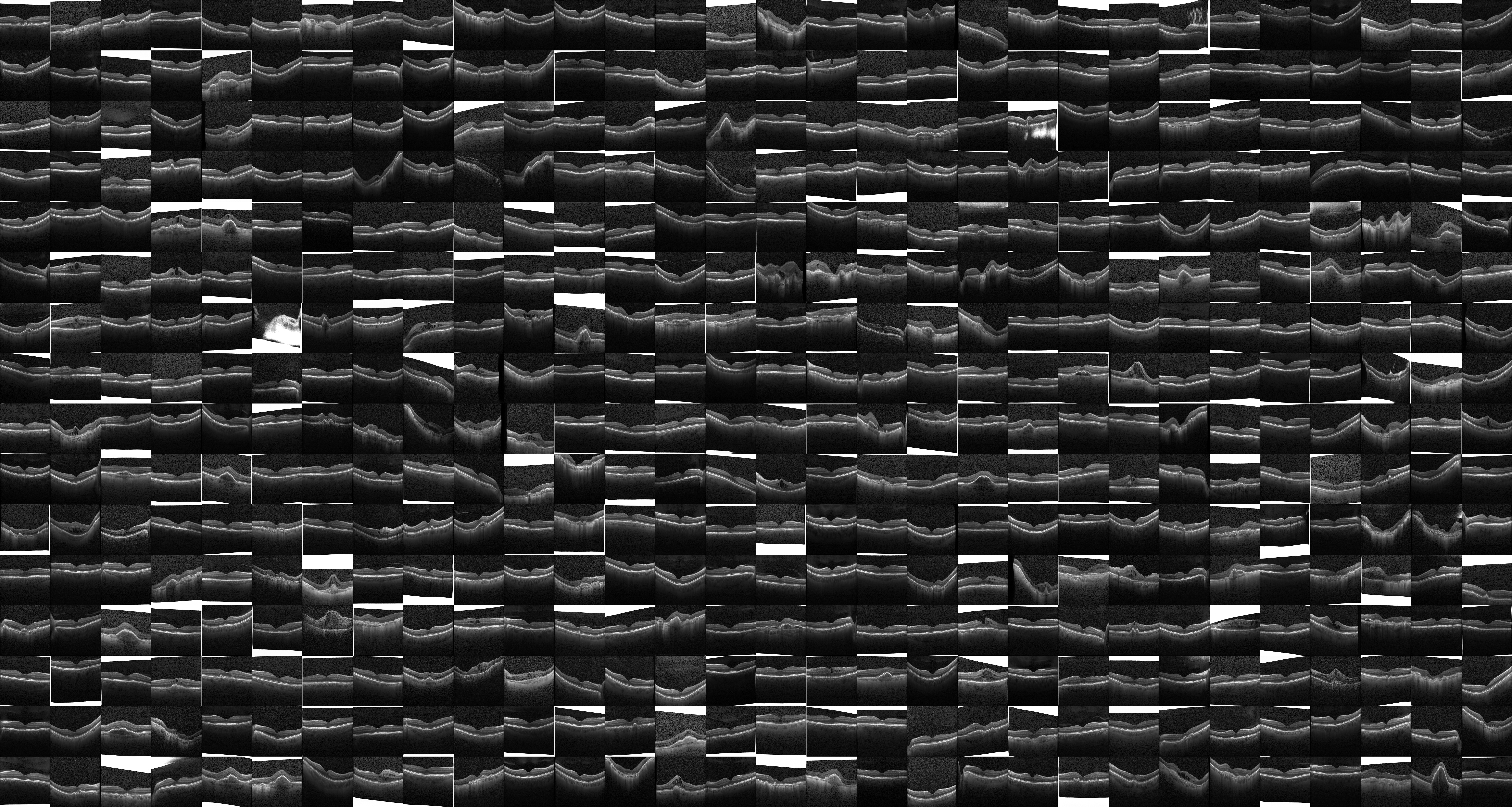 Generated Image