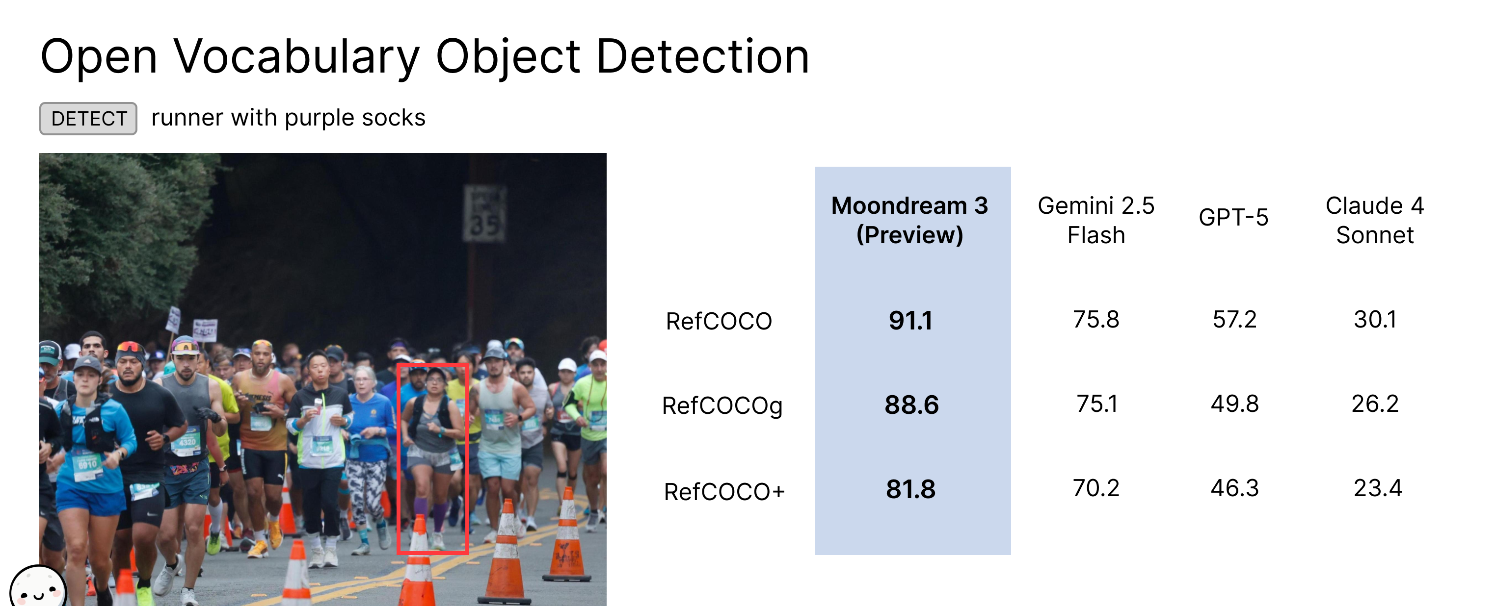 open_vocab_detect.png