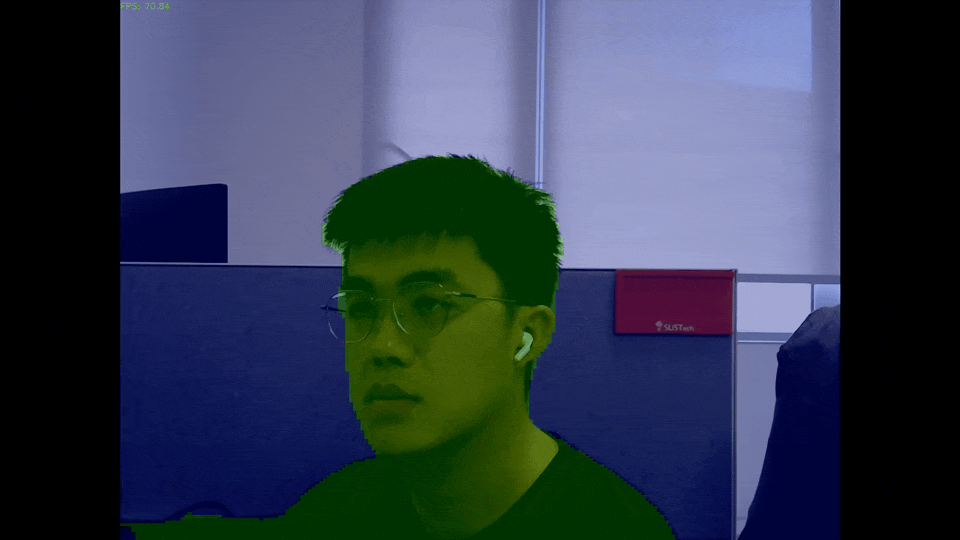 webcam demo