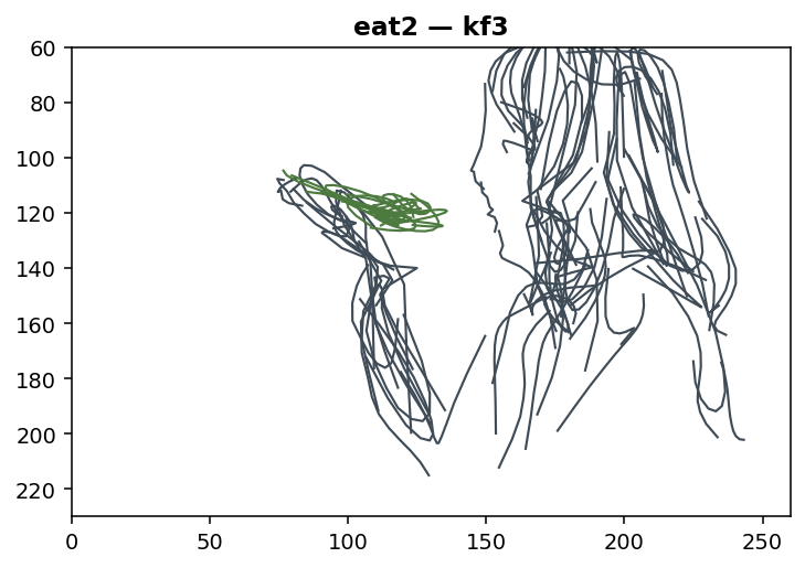 kf3.png