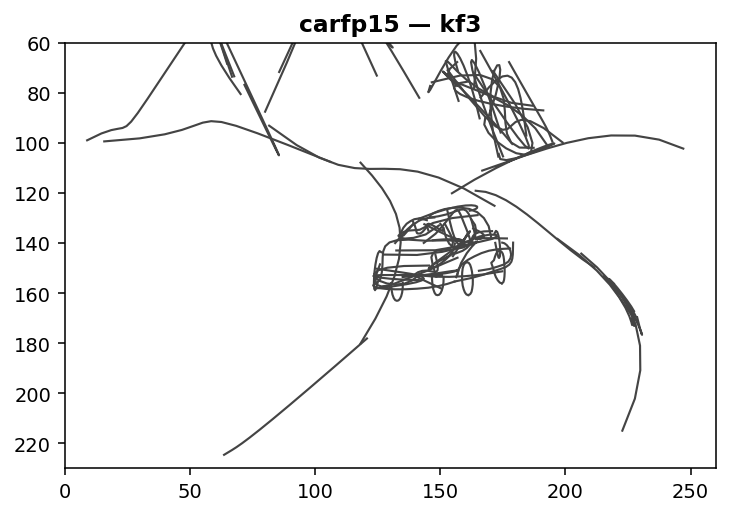 kf3.png