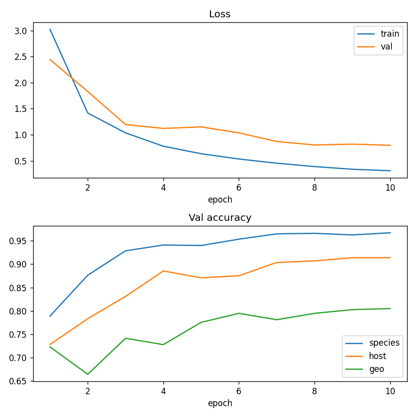 Training curves