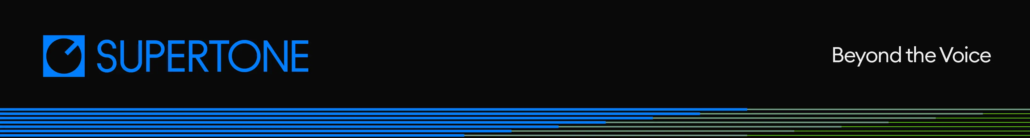 SPT-logo.webp