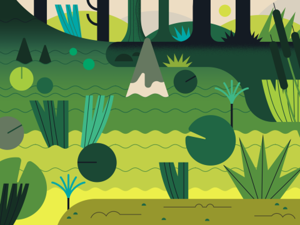 ef9973bcff6d4cbc558e946028ec7d23.png