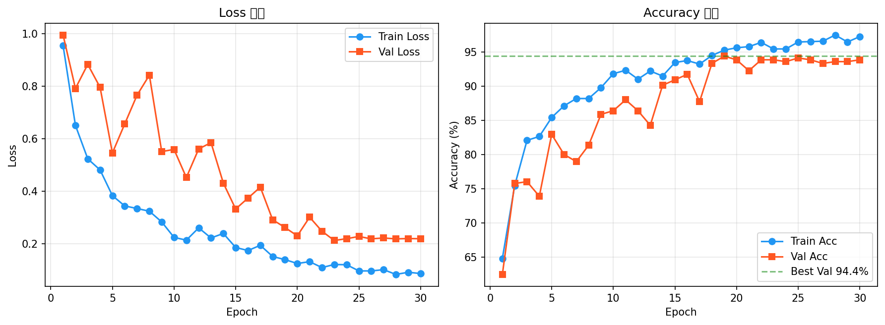 training_curves.png