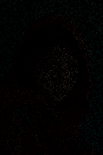afghan_coded.png