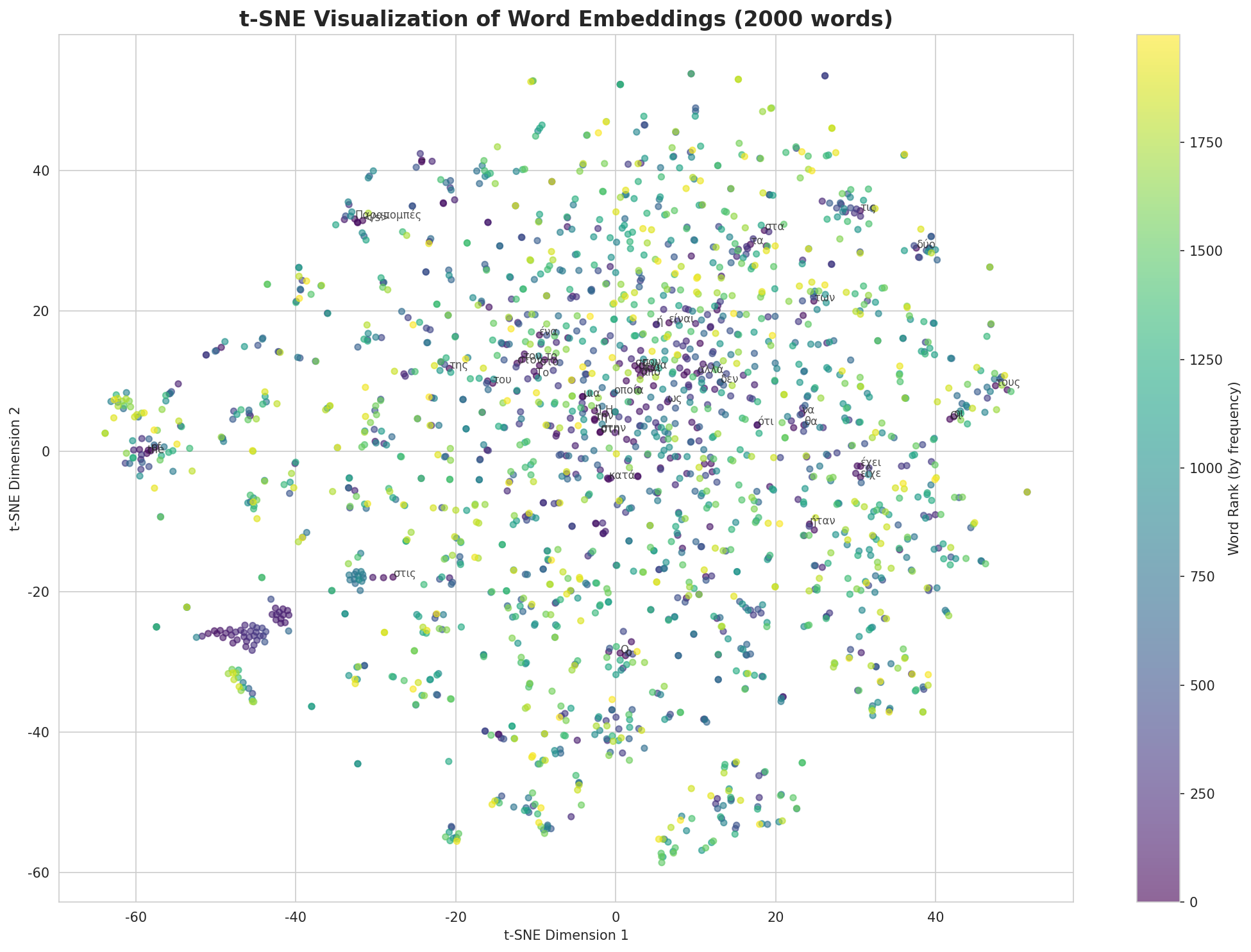t-SNE Words