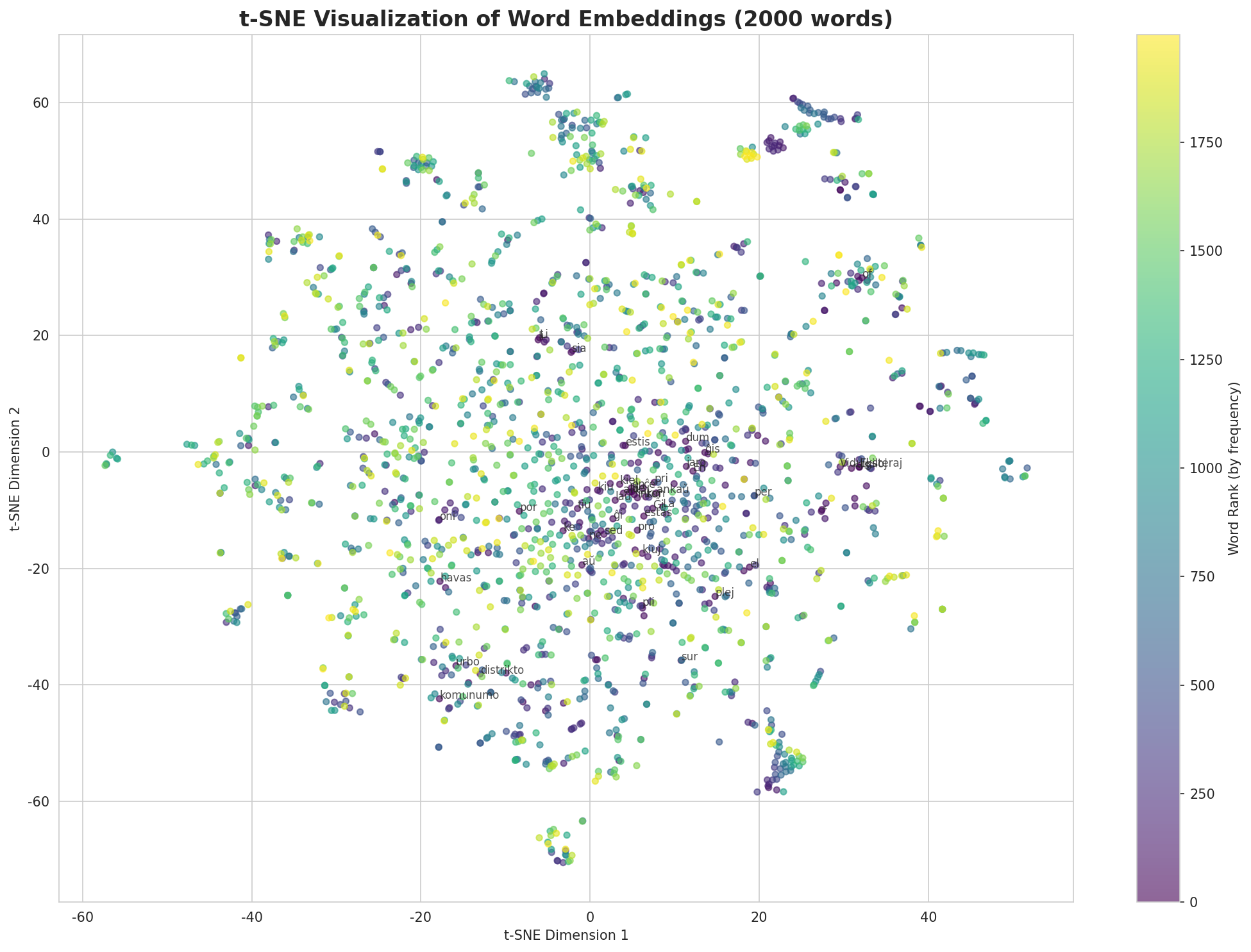 t-SNE Words