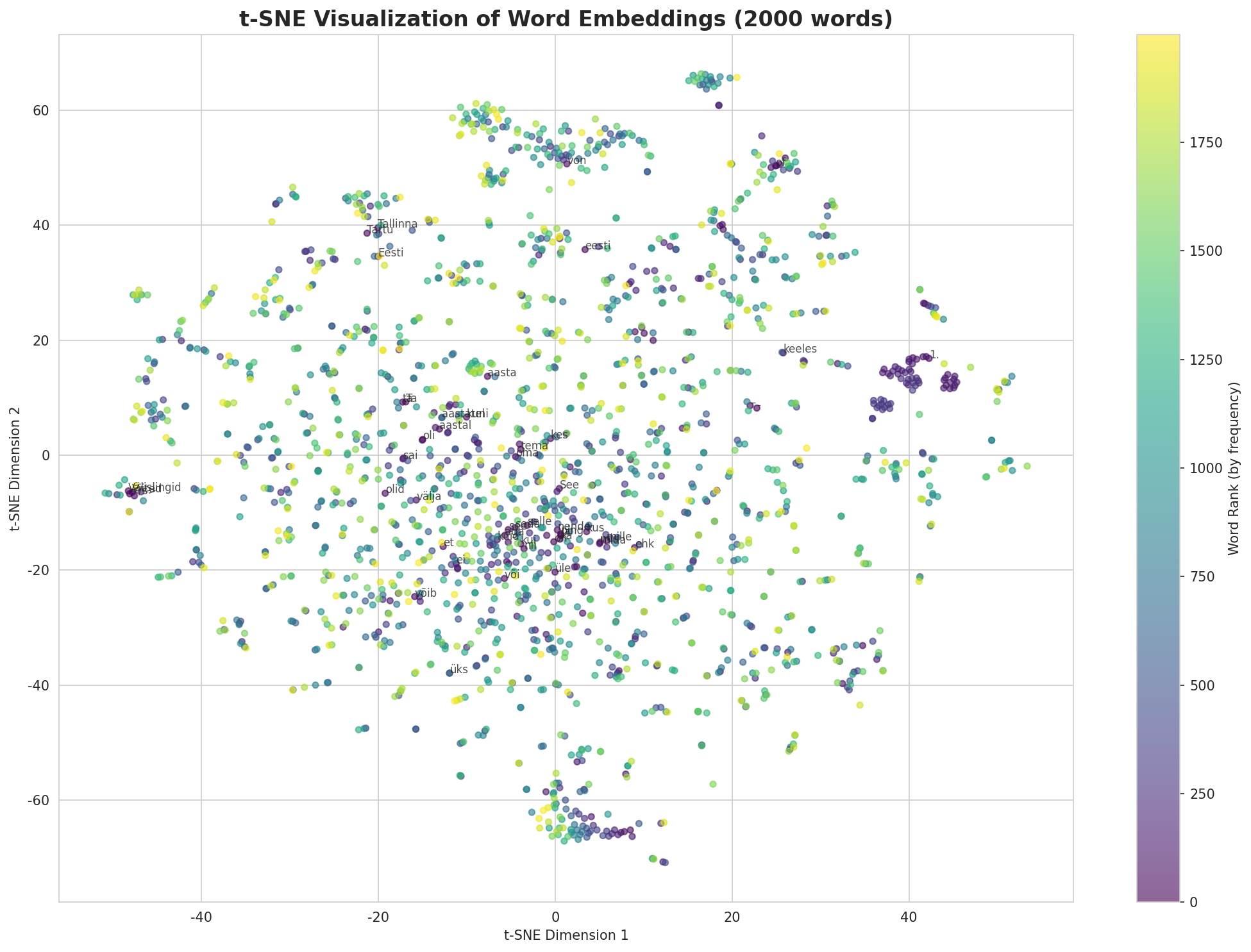 t-SNE Words