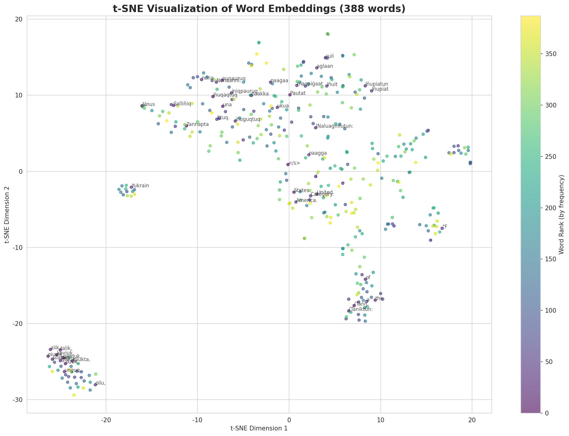 t-SNE Words