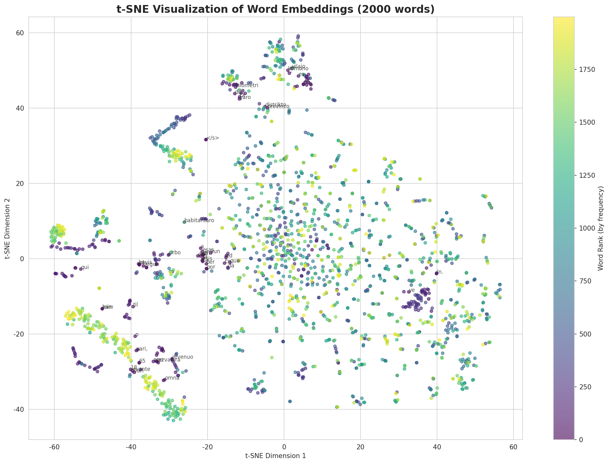 t-SNE Words