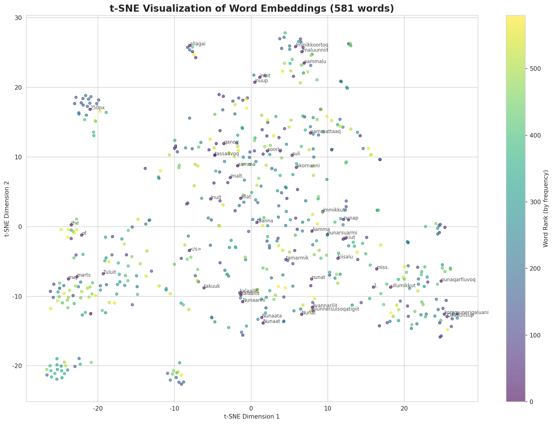 t-SNE Words