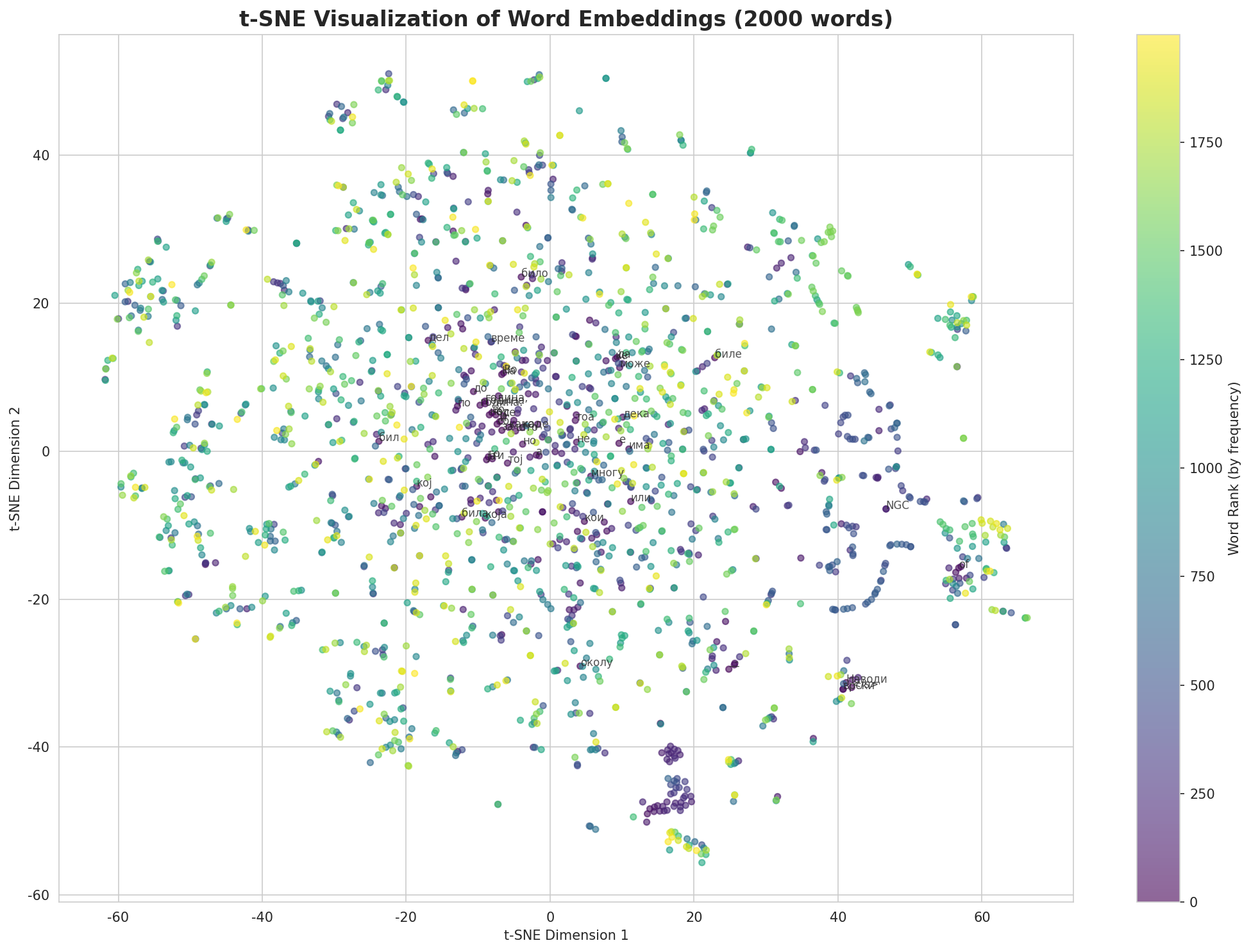 t-SNE Words