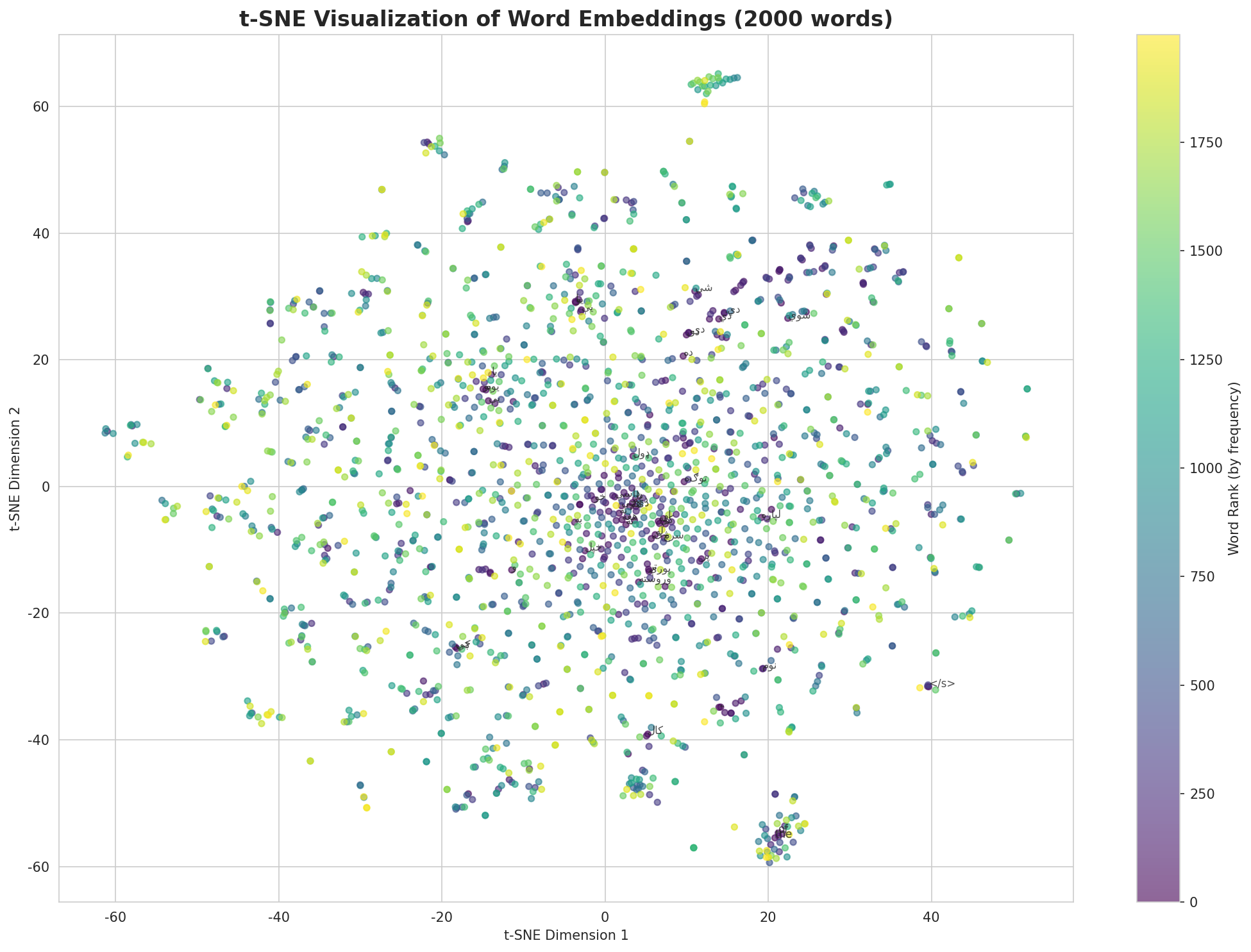 t-SNE Words