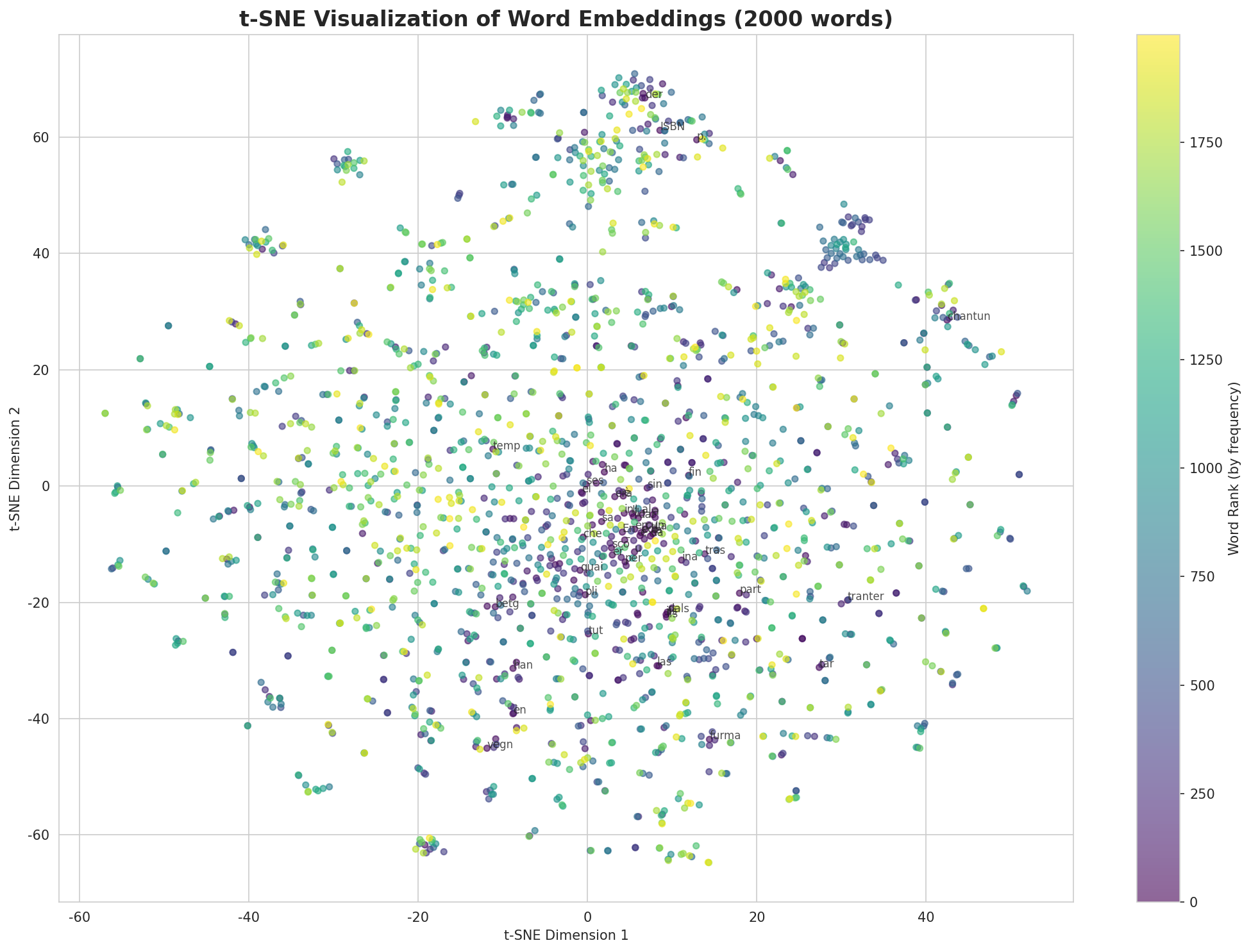t-SNE Words