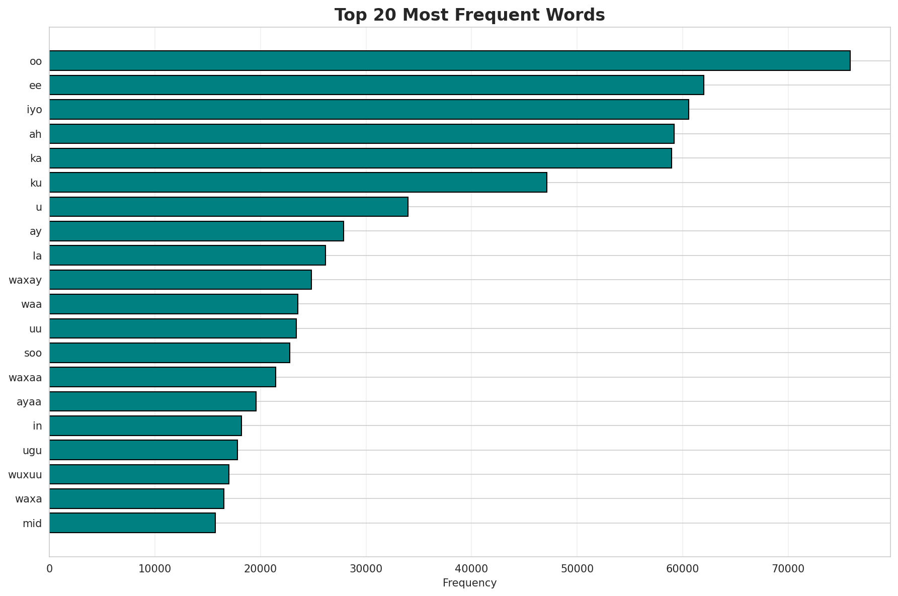 Top Words