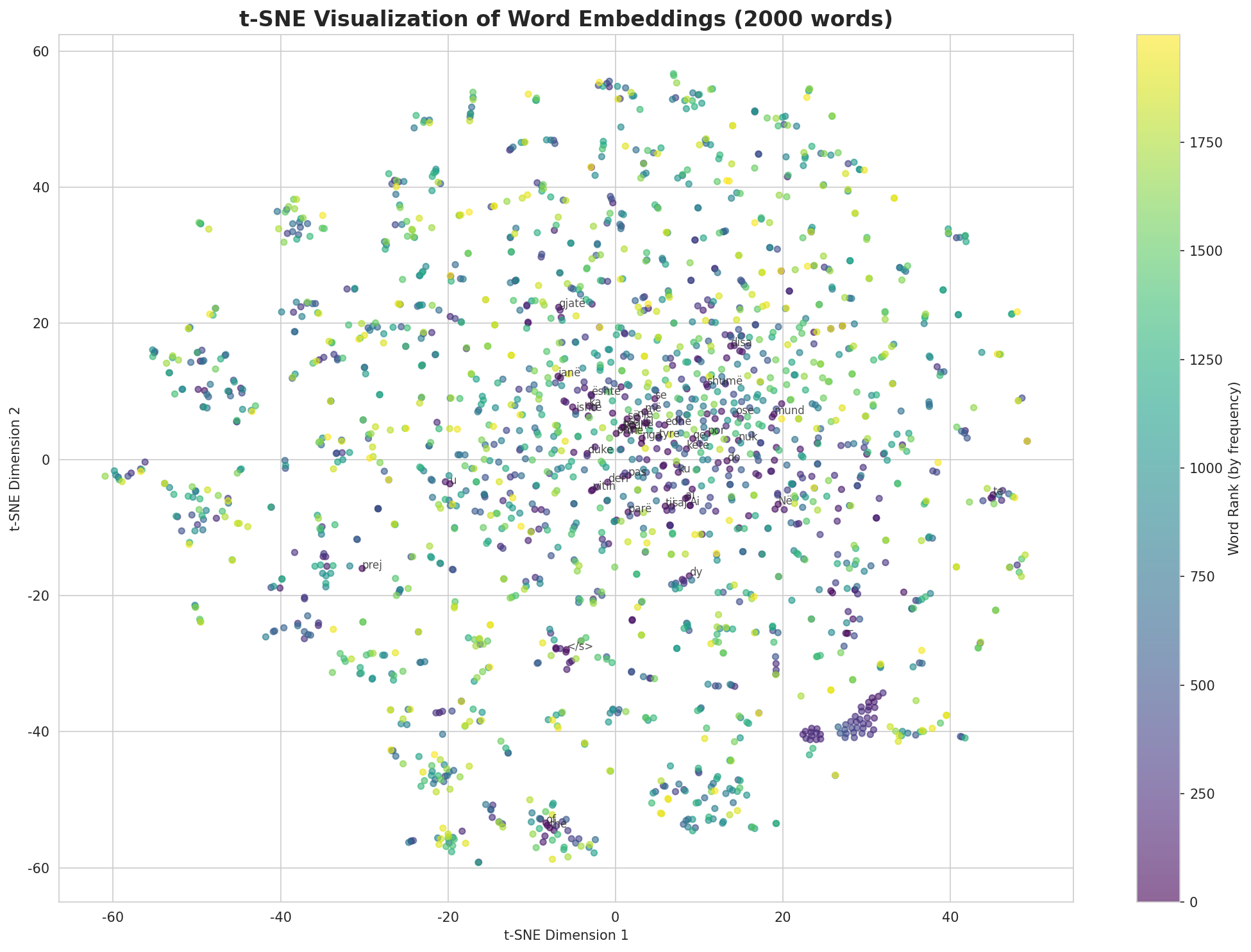 t-SNE Words
