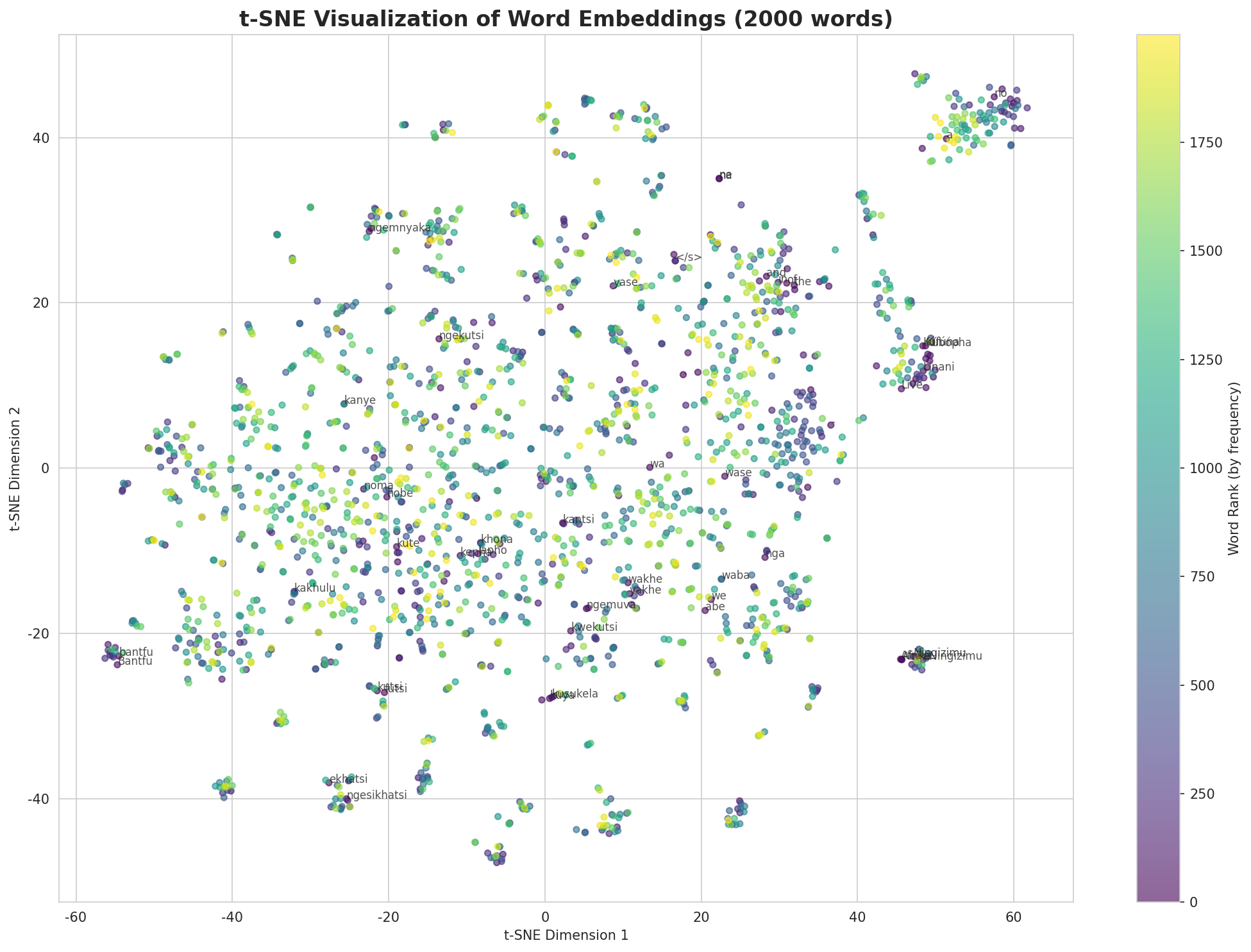 t-SNE Words