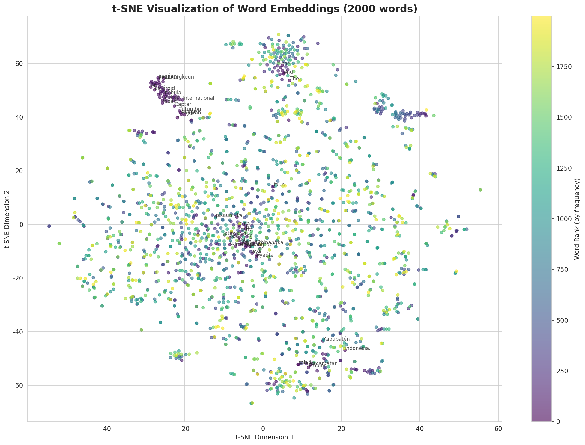 t-SNE Words