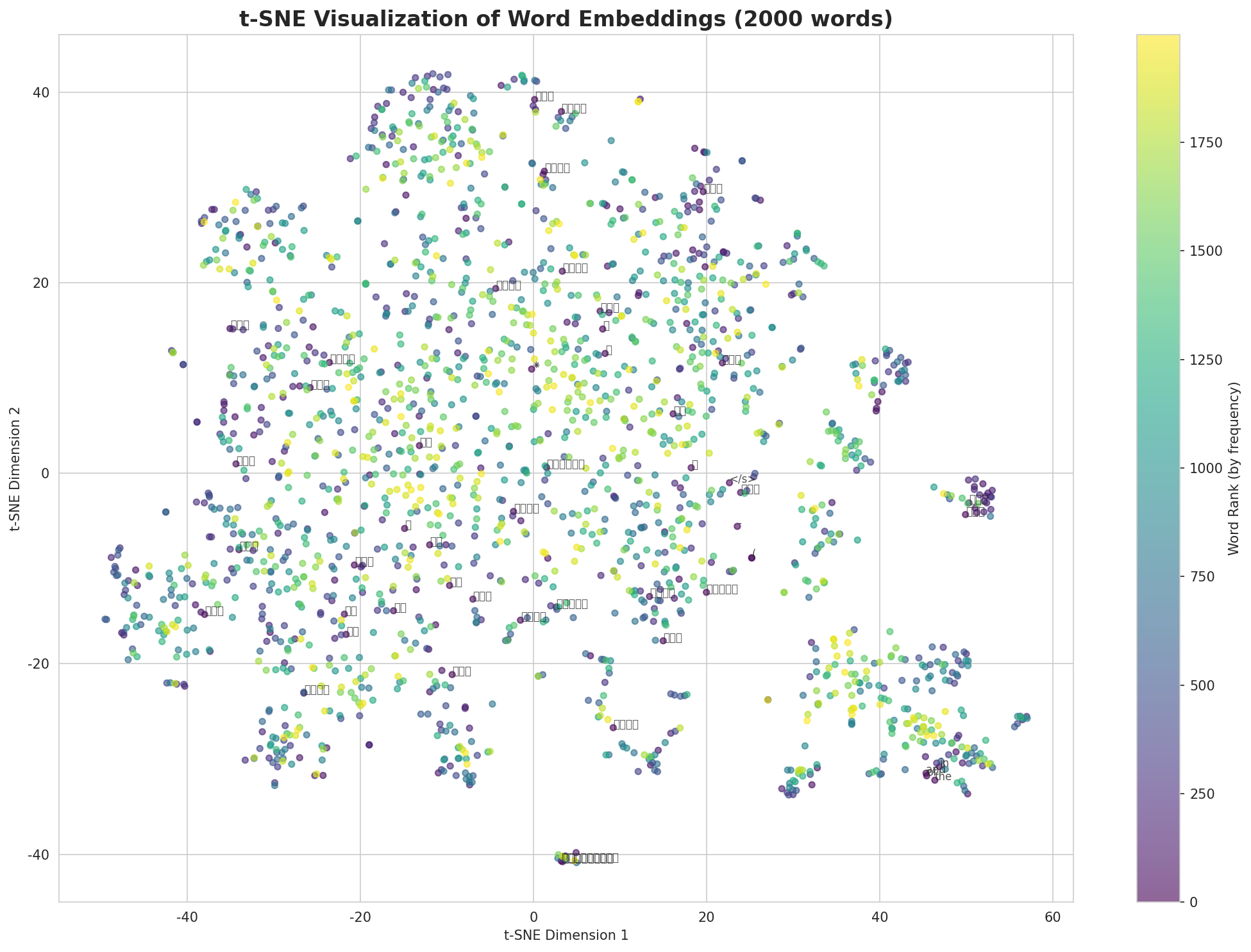 t-SNE Words
