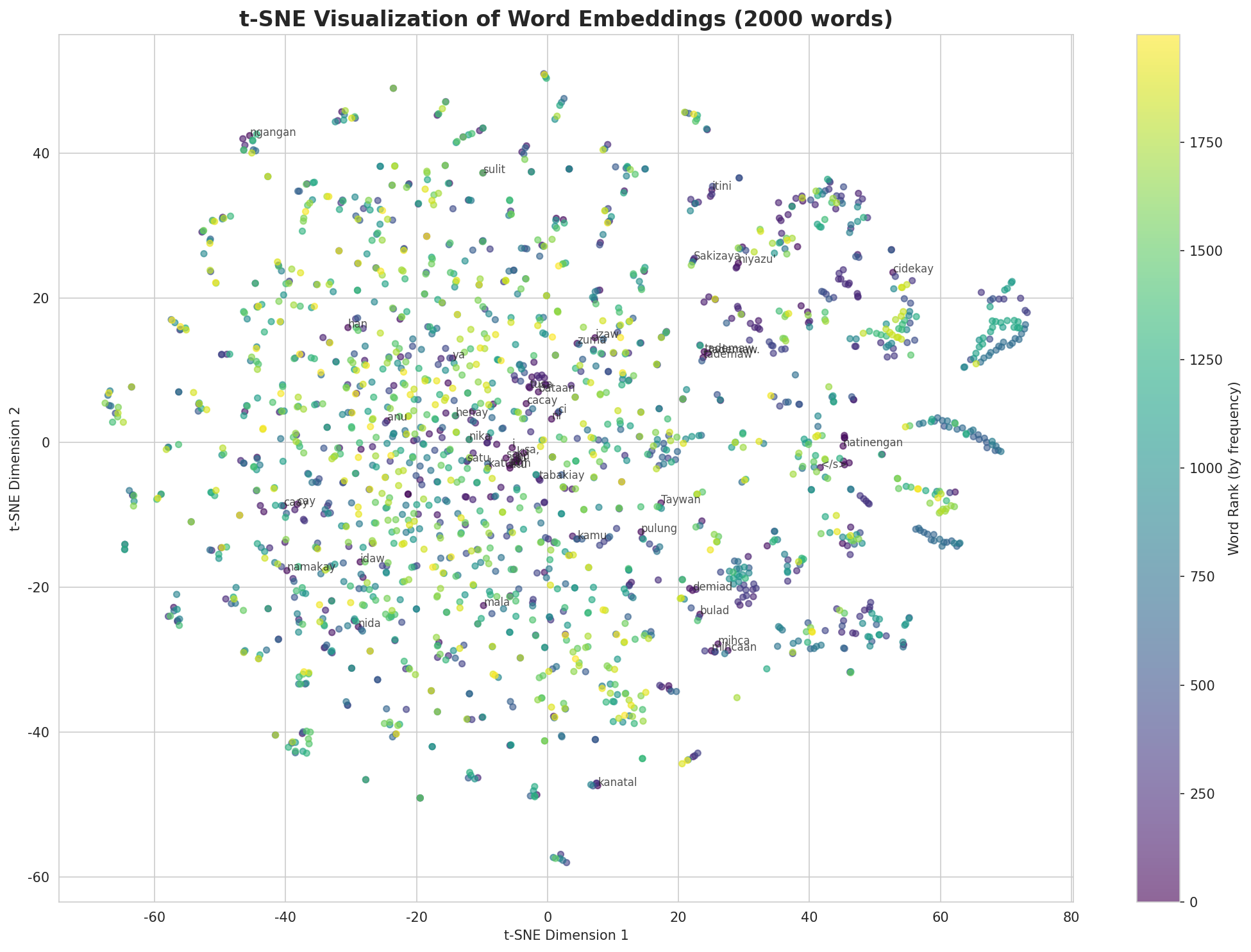 t-SNE Words