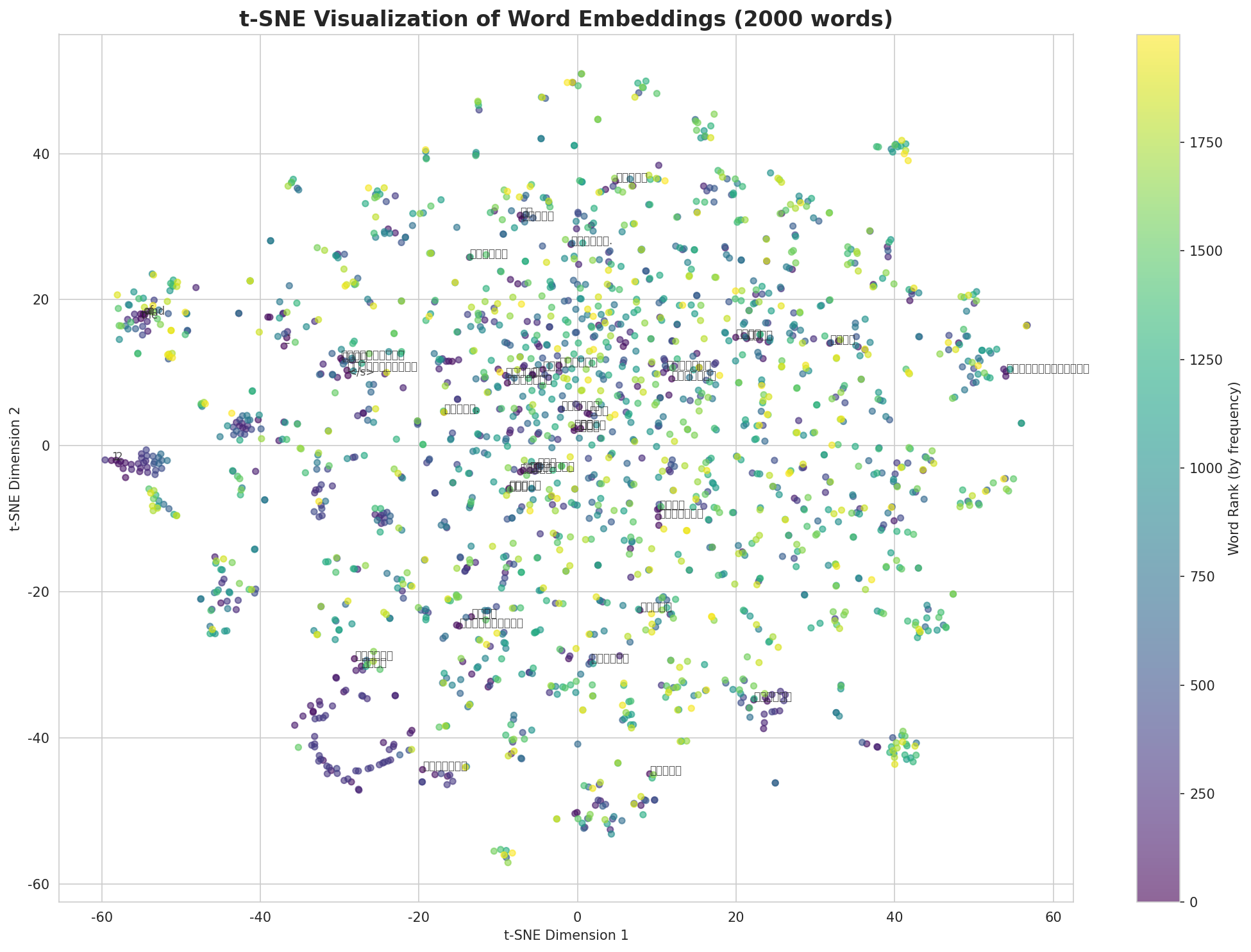 t-SNE Words