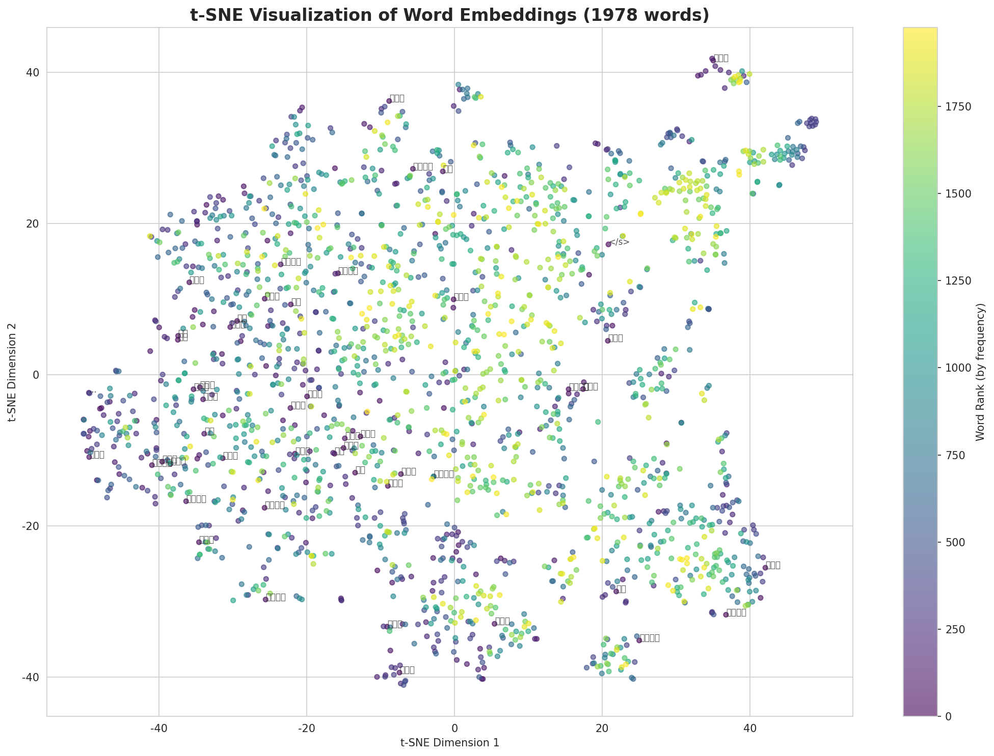 t-SNE Words