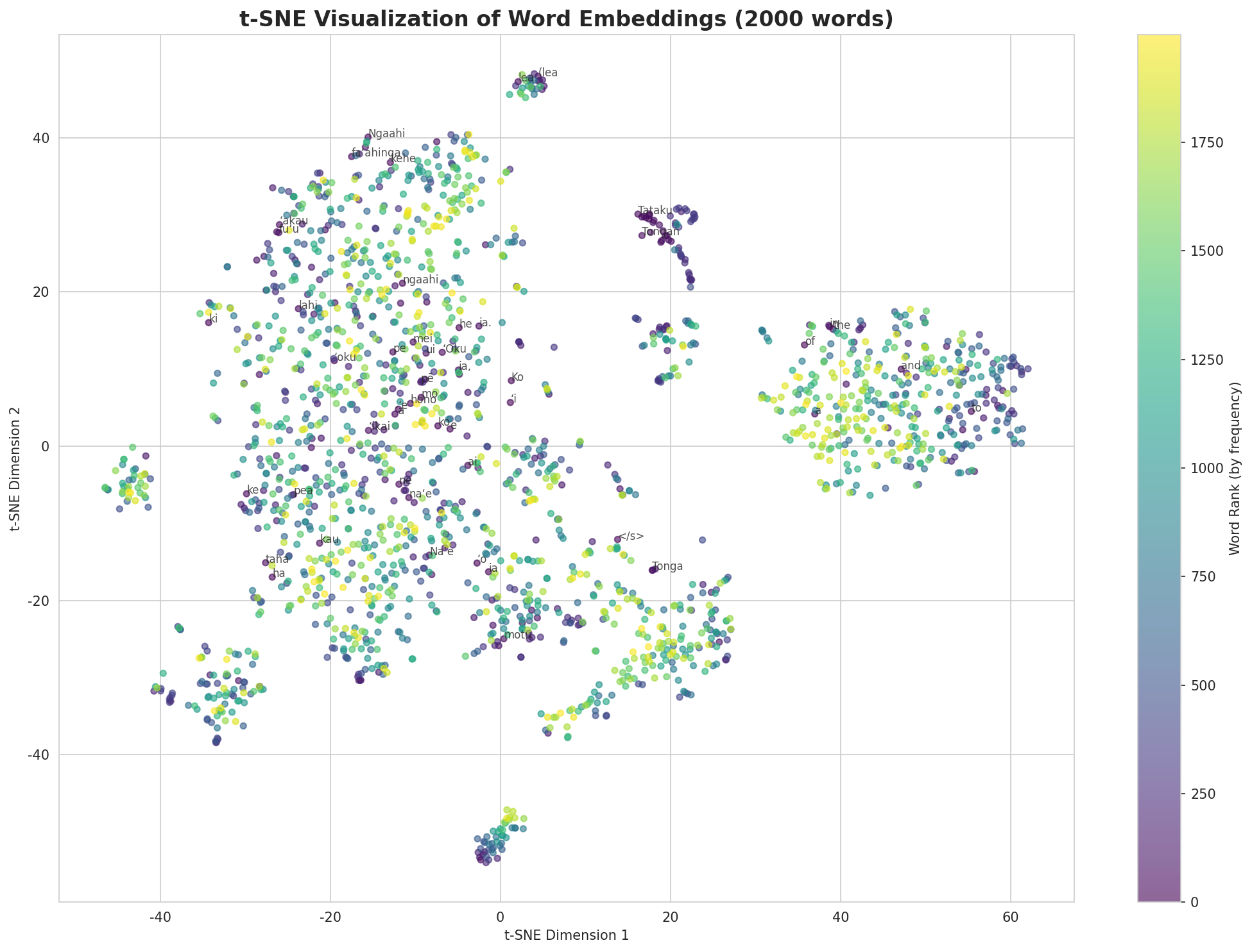 t-SNE Words