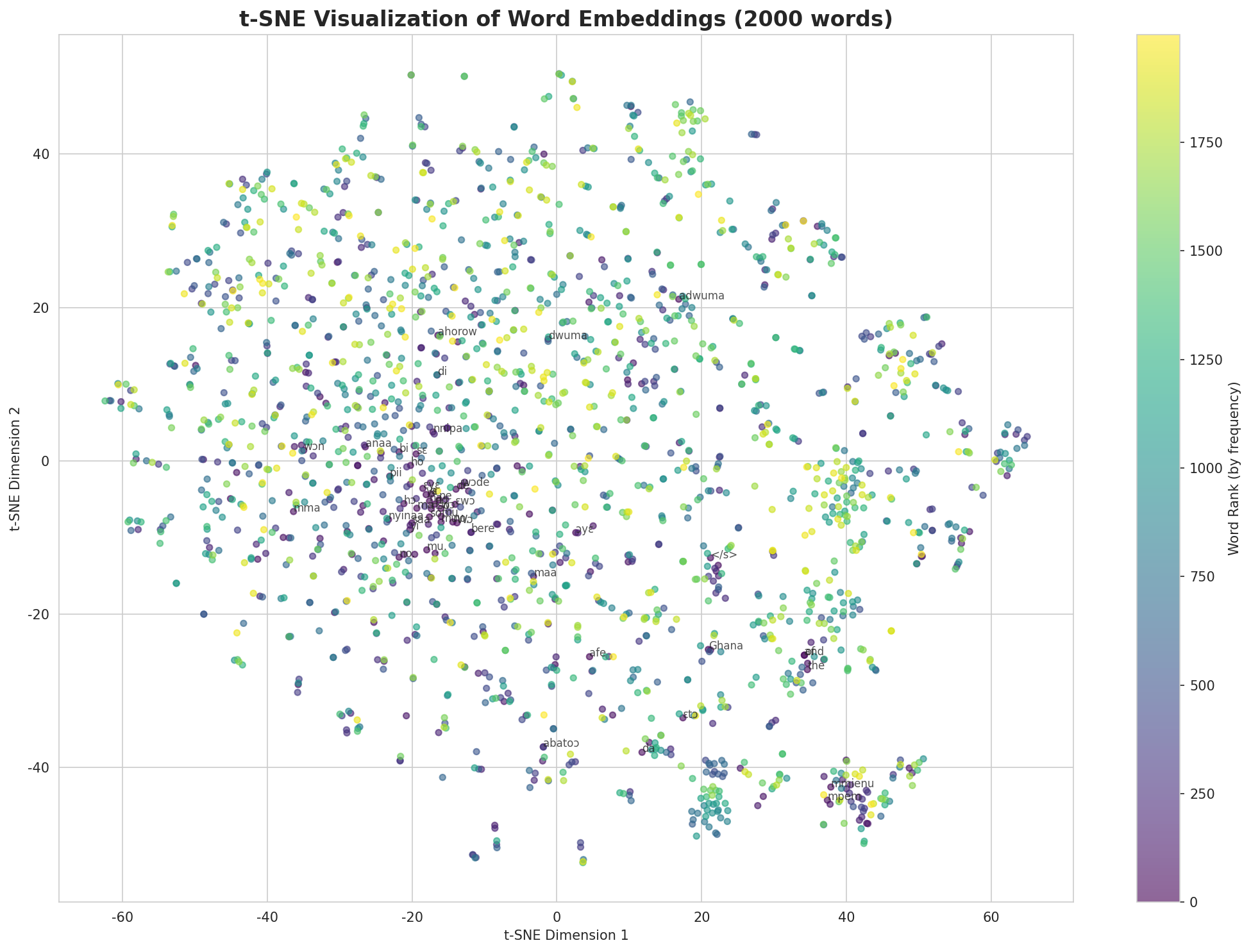 t-SNE Words