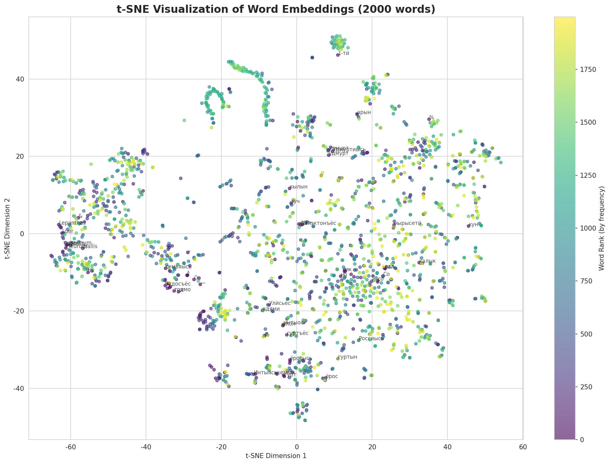t-SNE Words