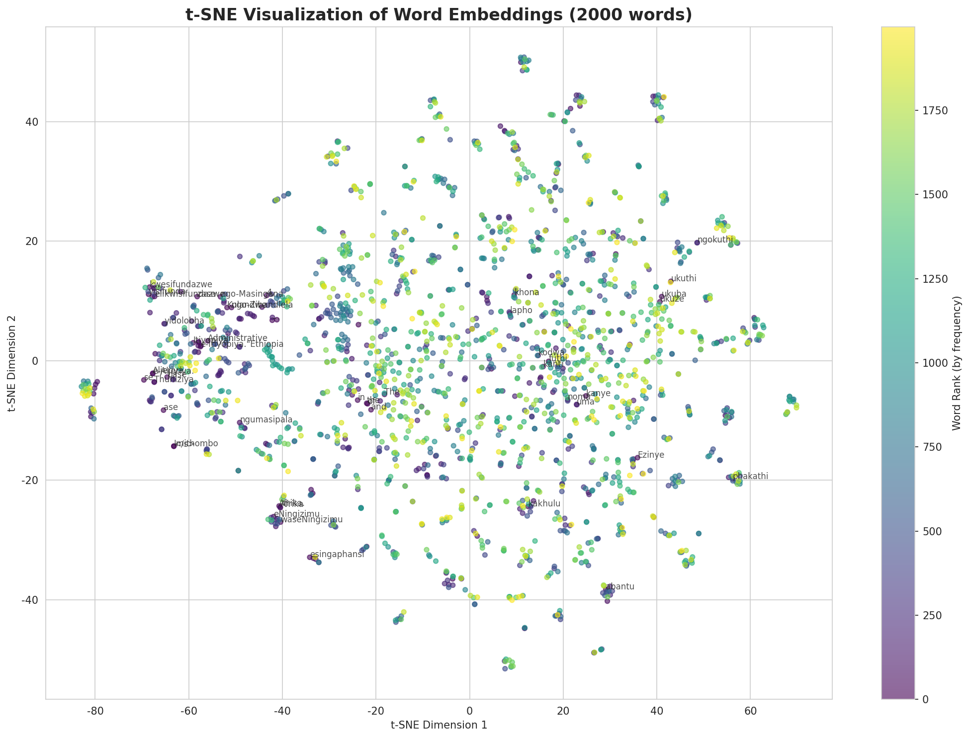 t-SNE Words