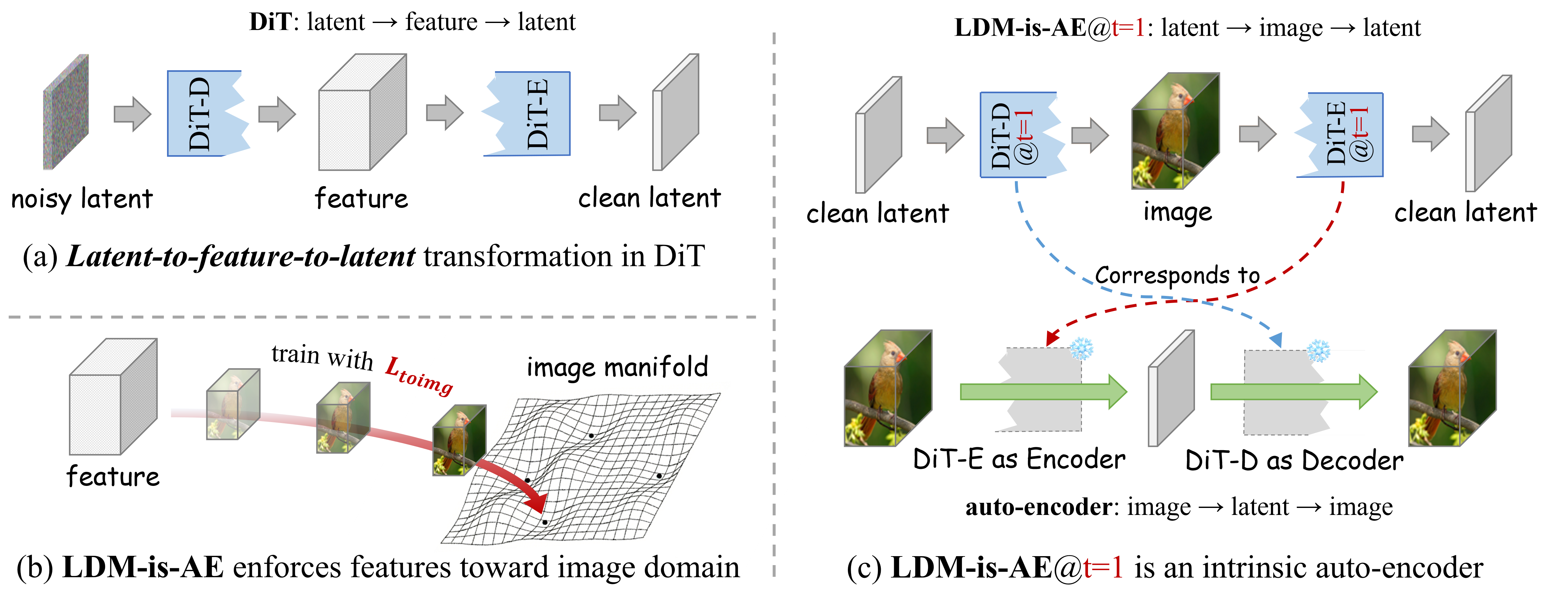 LDM-is-AE: the DiT backbone is split into DiT-E / DiT-D and the intermediate feature F is aligned with PixelUnshuffle(x) in the image domain at every timestep.